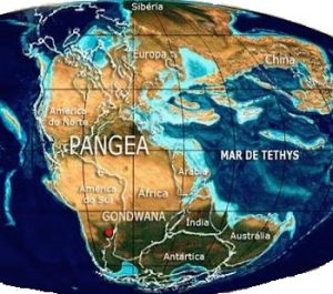 pangeia(1)